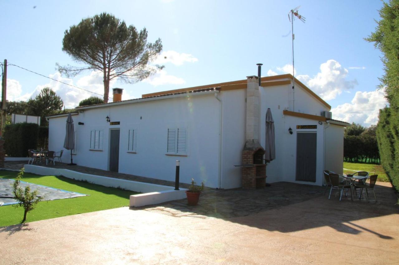 Alojamientos Rurales La Codosera Dış mekan fotoğraf