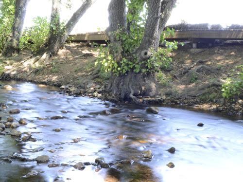 Alojamientos Rurales La Codosera Dış mekan fotoğraf