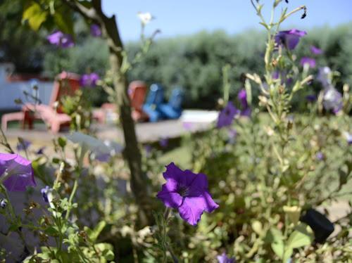 Alojamientos Rurales La Codosera Dış mekan fotoğraf